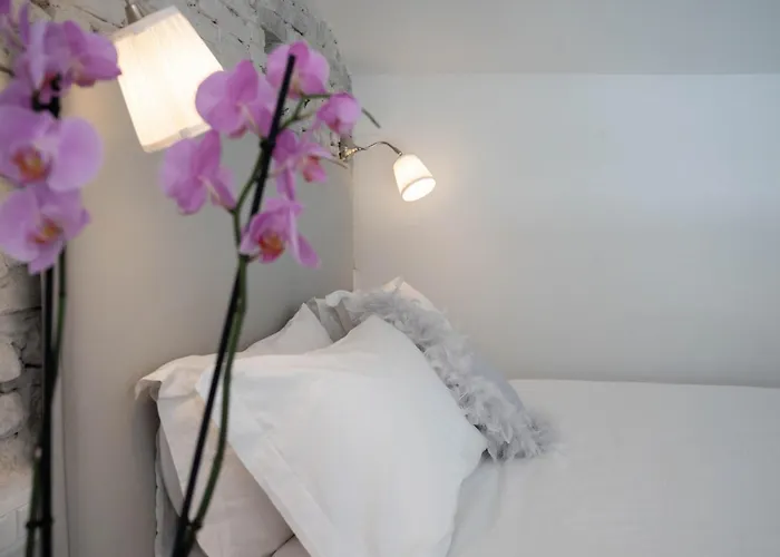 Apartment Design Loft Belle Donne