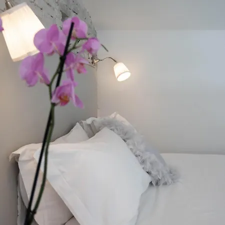 Apartment Design Loft Belle Donne