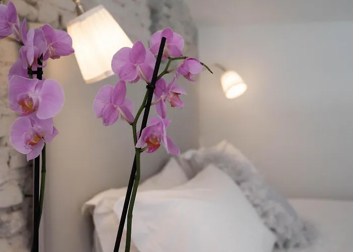 Design Loft Belle Donne